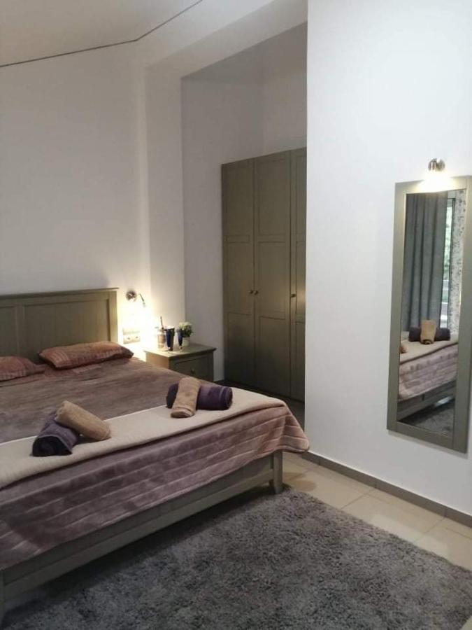 Holiday And Business Home Agios Vasilios  외부 사진