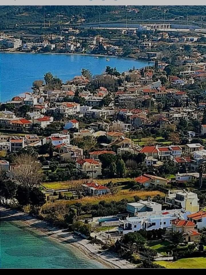 Holiday And Business Home Agios Vasilios  외부 사진